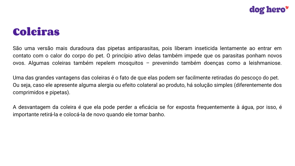 Por que os cachorros devem usar guia e coleira?