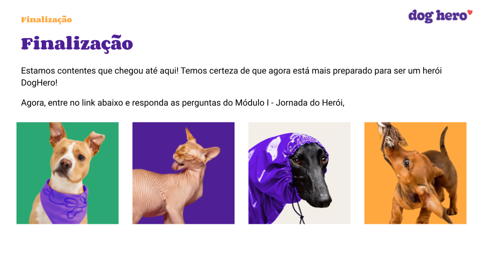 Cachorro pode comer queijo?