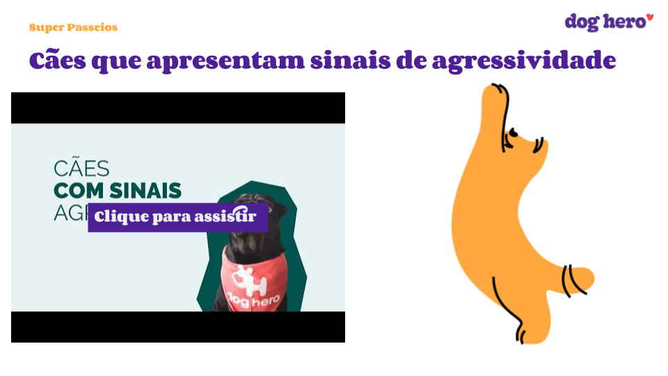 Como comprar ração online?