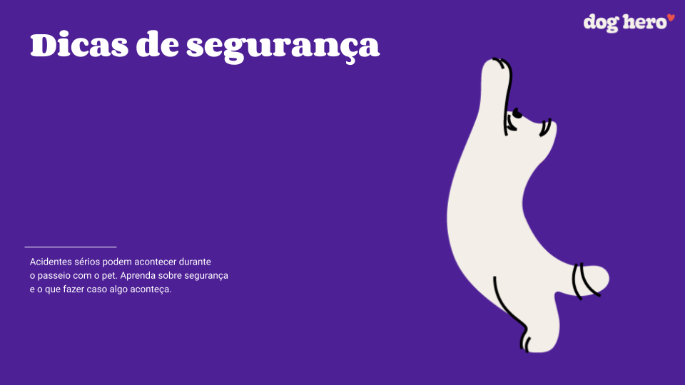 Como fazer a transição de ração?