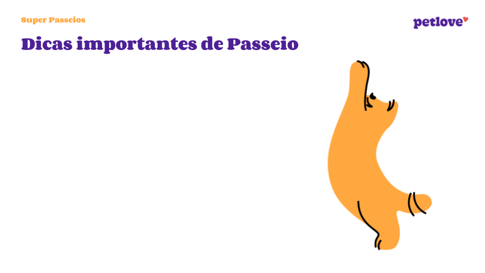 Mix feeding: posso dar ração seca e úmida para meu pet?