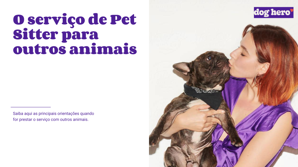 Alimentação do porquinho da índia