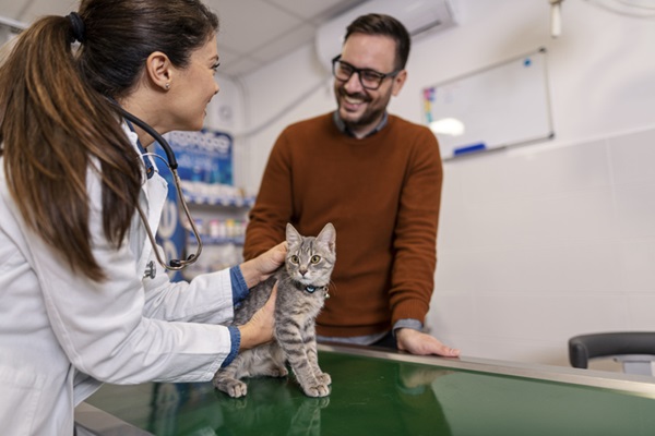 Tutor e médica-veterinária conversando enquanto analisam gato. 