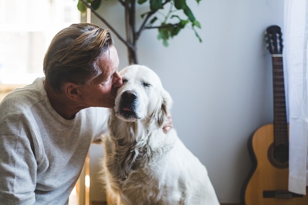 Cães e gatos idosos: principais mudanças dessa fase