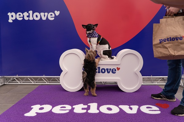 Dois cachorros tirando foto no banco em formato de osso da Petlove