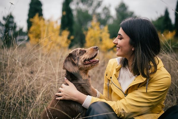 Pets, cuidar dos seus bichinhos nunca foi tão divertido