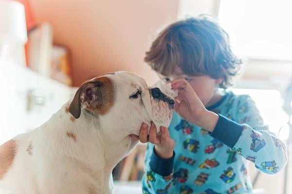 Criança limpando face de cachorro