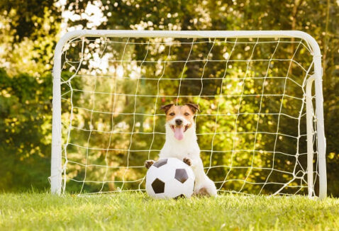 Relembre 7 mascotes da Copa e veja por que esses bichos foram escolhidos