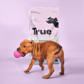 ração true filhotes