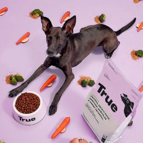 ração true cães adultos 