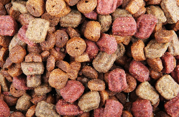 Ração Quatree é boa? Veja a nossa avaliação completa