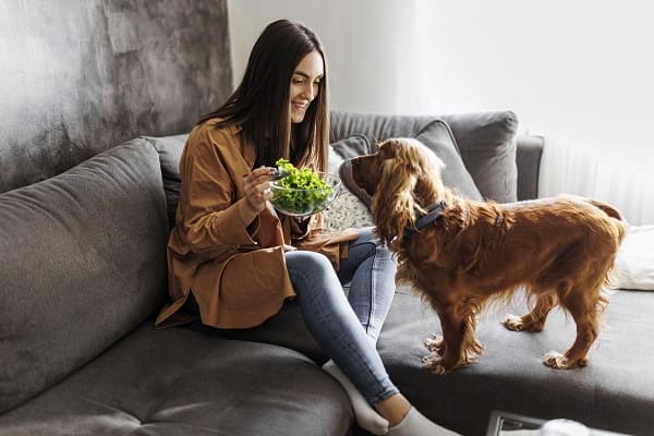 Mulher comendo salada enquanto cachorro observa de perto