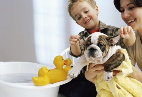 Cuidados com a higiene de pets filhotes