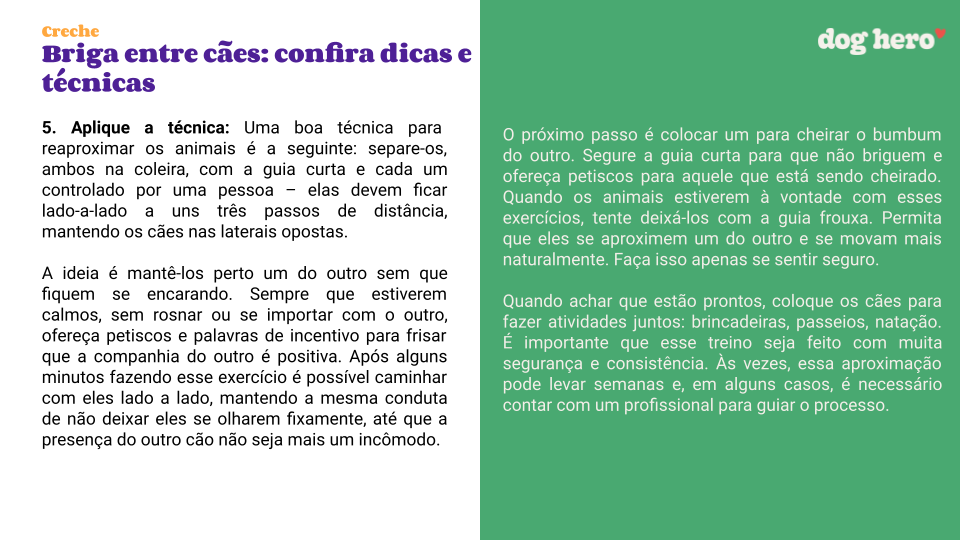 Cachorros podem estar menos sociáveis por conta da quarentena