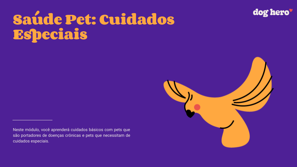 Tudo o que você precisa saber sobre passeio com filhotes de cachorro
