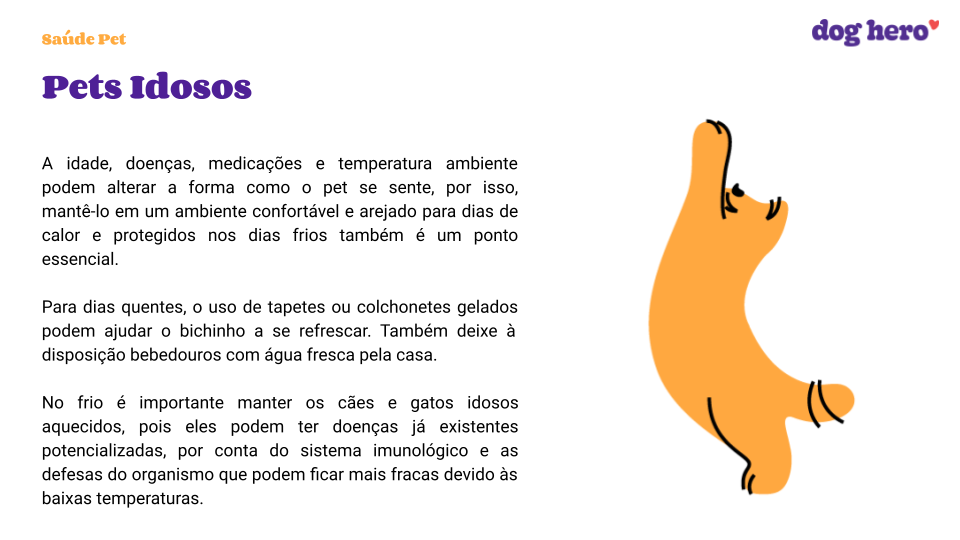 Genética pode fazer alguns cachorros serem mais inteligentes do que outros