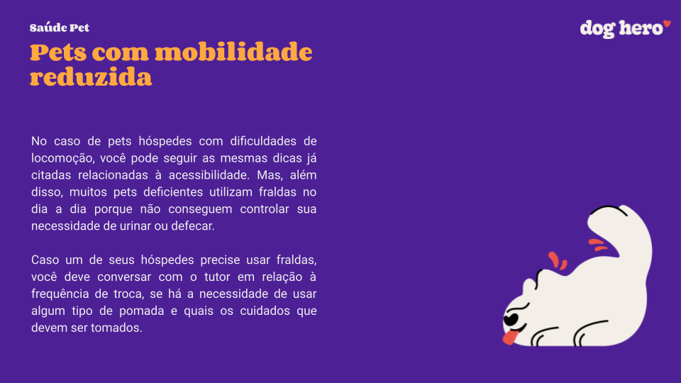 Por que os gatos gostam de dormir com a gente?