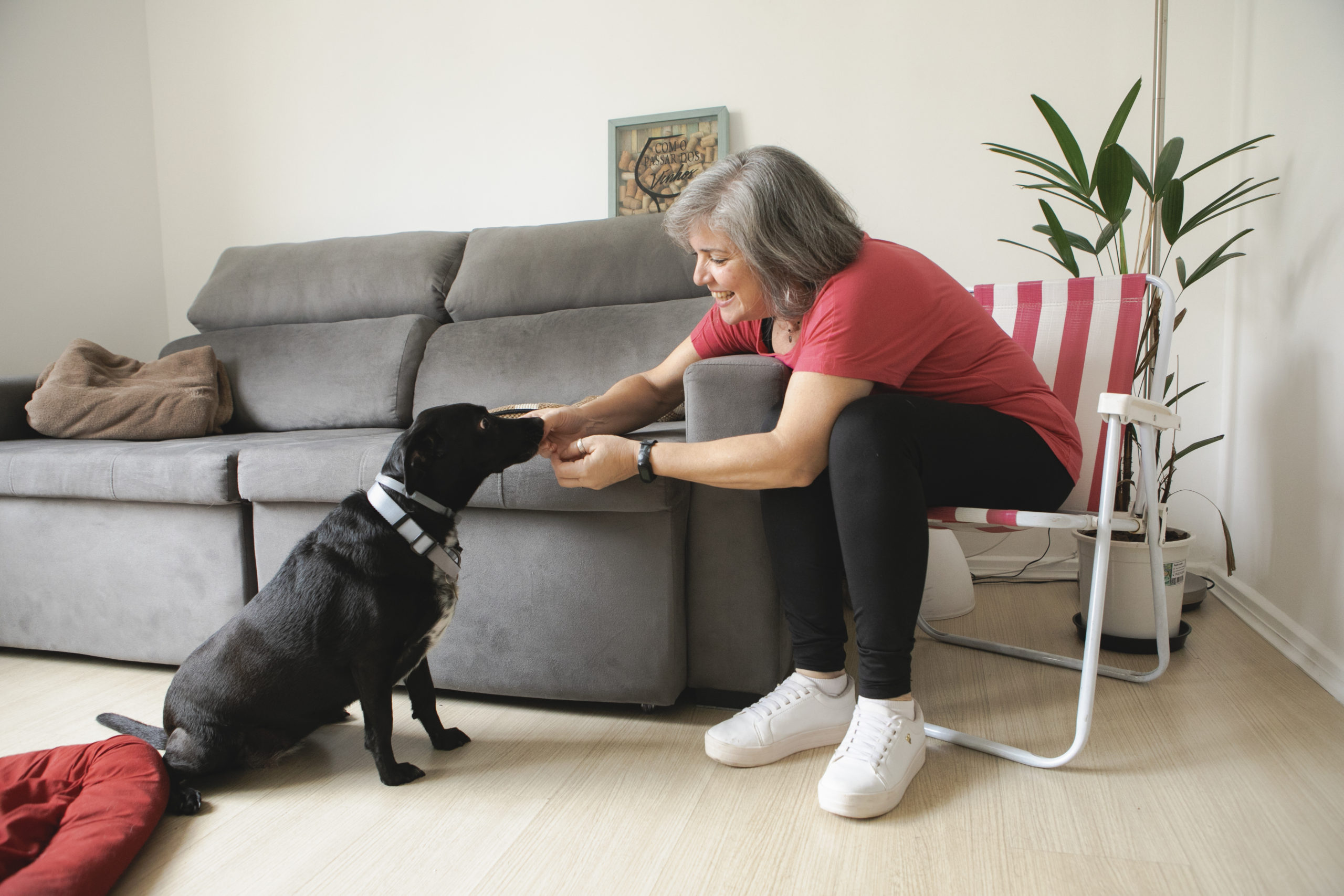 Como preparar a casa para receber pets