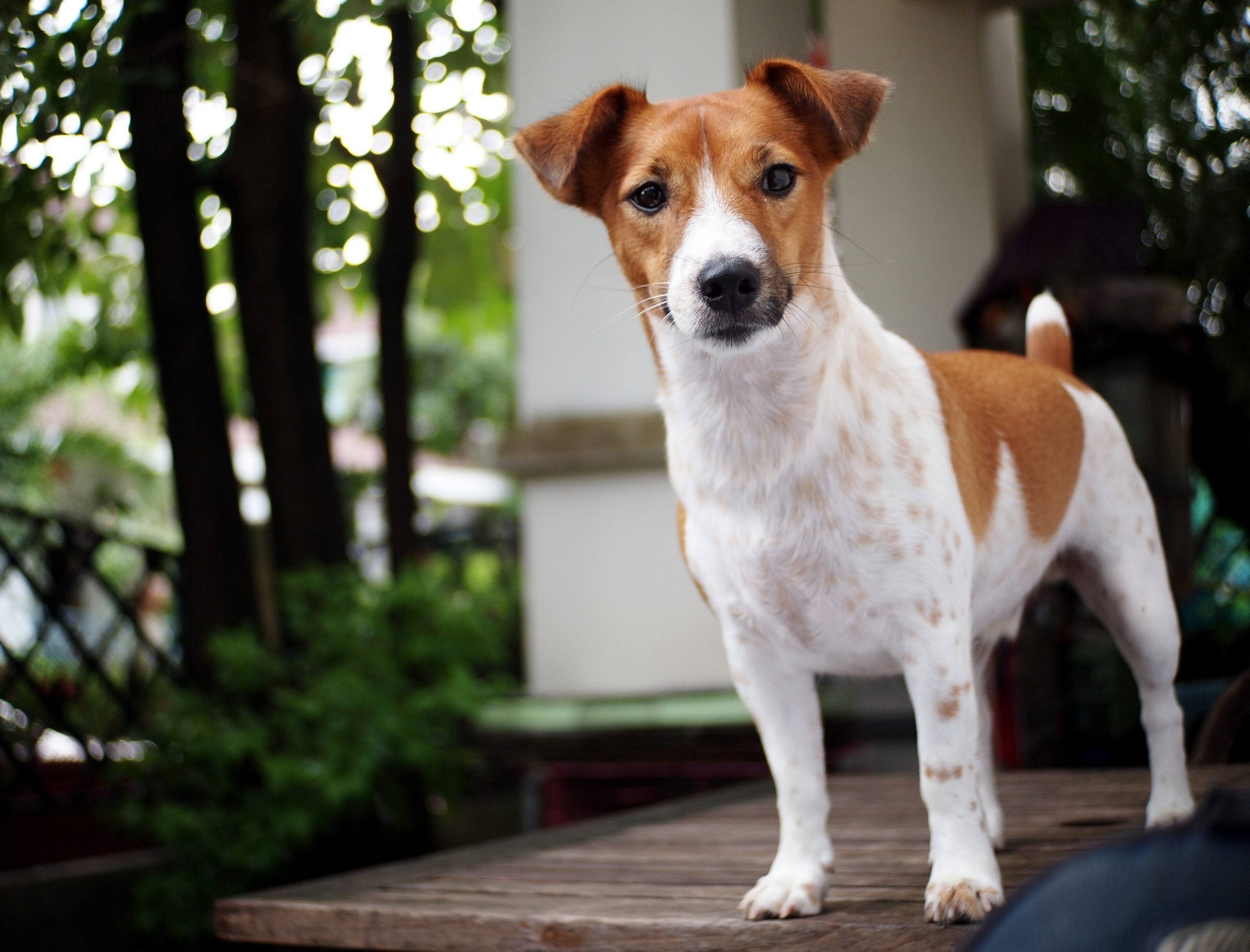 Boas e melhores práticas