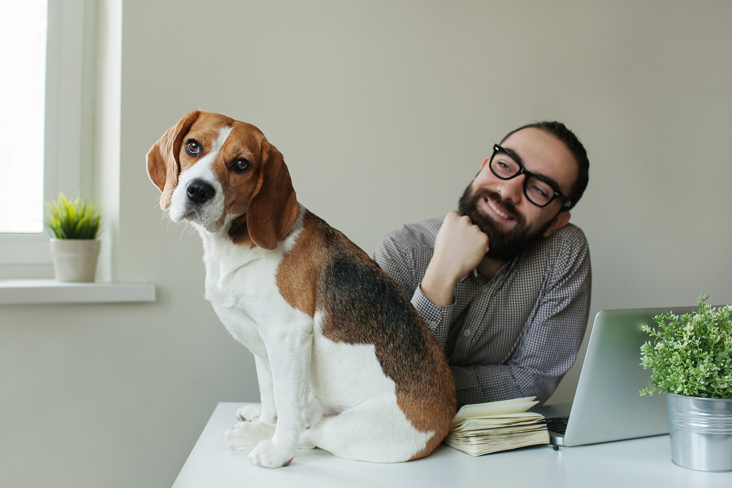 O que perguntar ao cliente sobre o pet dele
