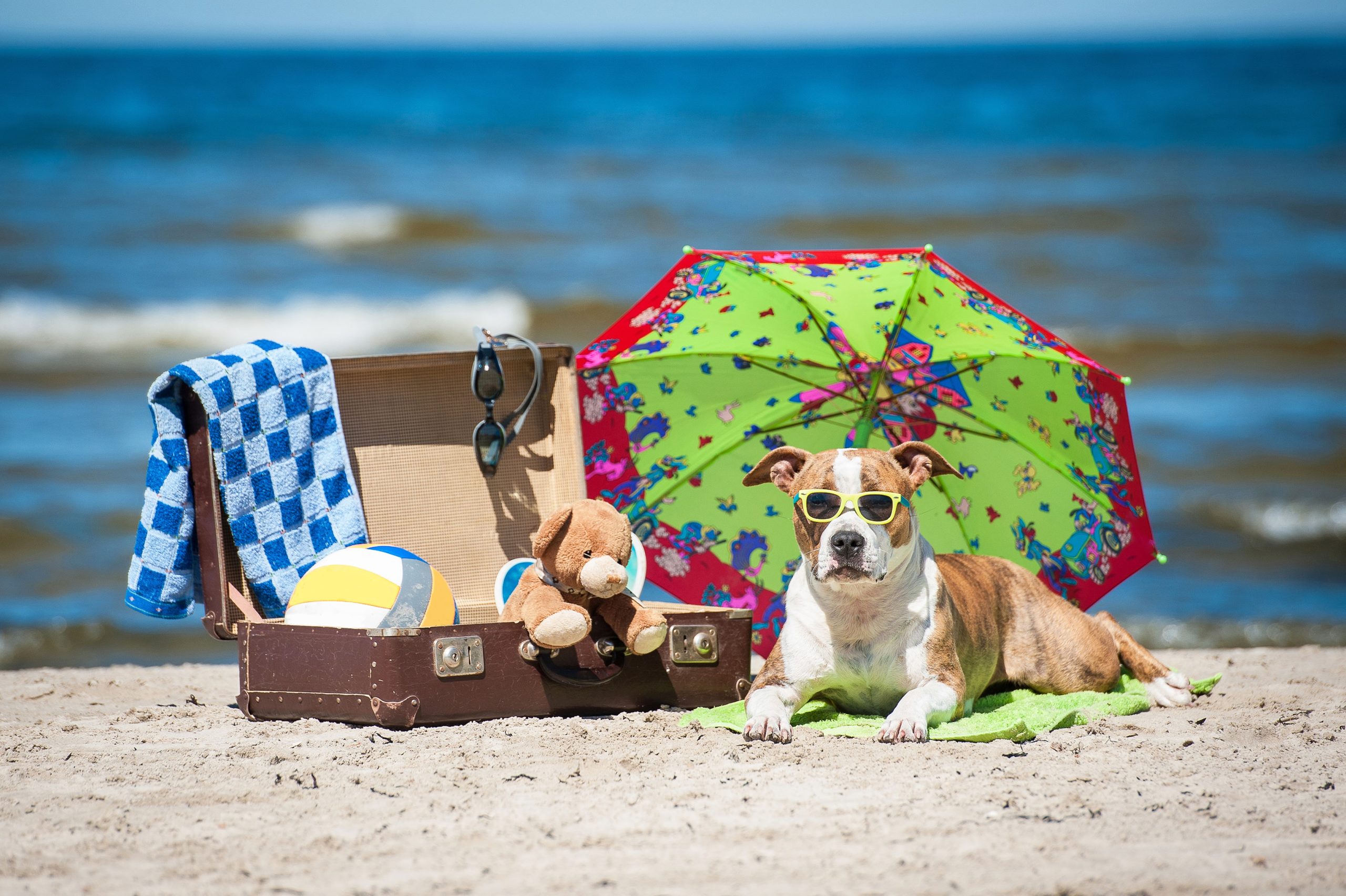 Hospedagem sazonal de férias: como se preparar