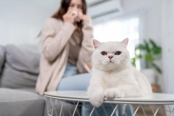 Tutora gripada com gato.