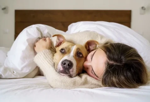 Cachorro e gato podem pegar gripe de humano?