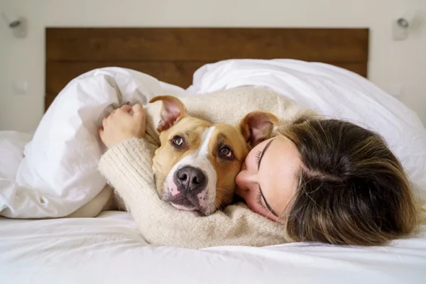 Cachorro e gato podem pegar gripe de humano?