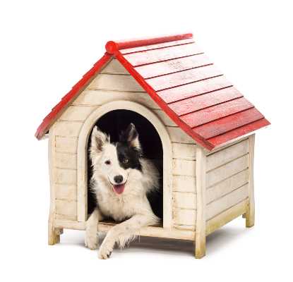 Casinha de cachorro: como escolher o modelo ideal para o seu pet?