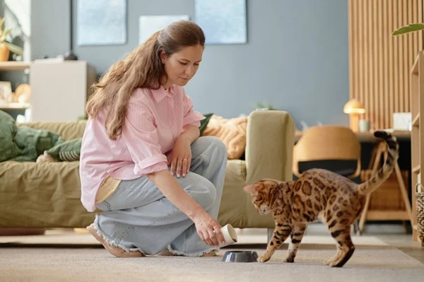 pet sitter cuidando de gato