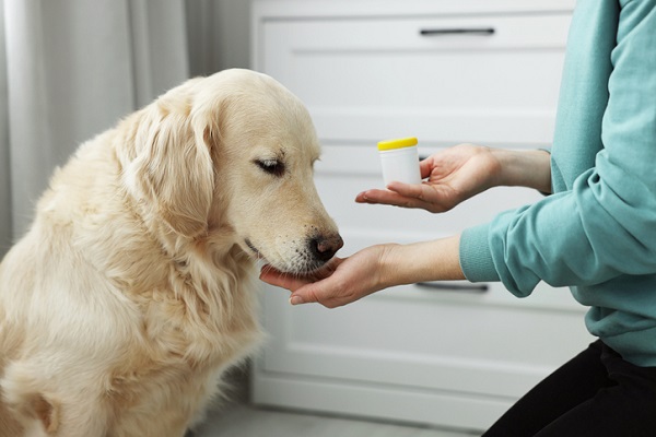 Cachorro tomando vitamina. 