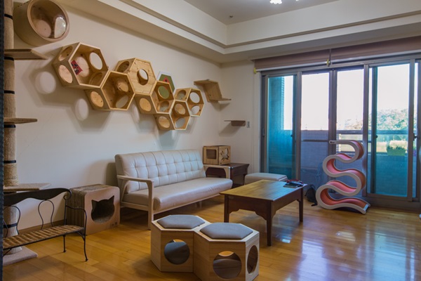 Casa decorada com prateleiras para gato