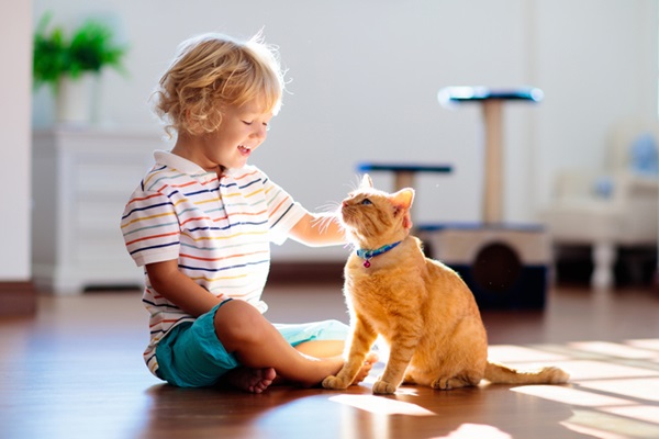 Menino fazendo carinho em gato laranja.