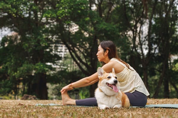 Doga: como fazer a yoga para cachorro com o seu pet?