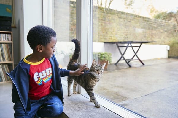 Animais de estimação para crianças: como escolher?