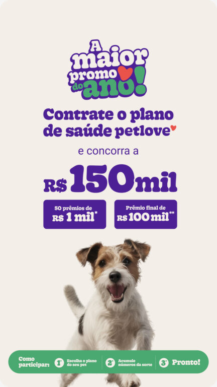 Coronavírus e pets: veja perguntas e respostas sobre cuidados com animais  de estimação, Coronavírus