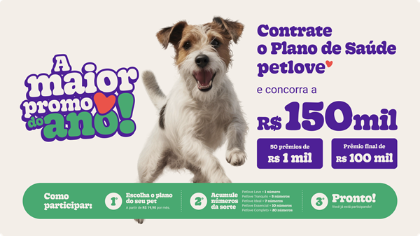 Banho e Tosa Spitz Mais Próximo Perdizes - Banho e Tosa Gato