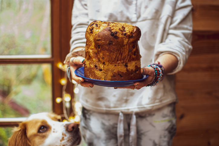 Cozinheiro segurando panetone enquanto cachorro observa.