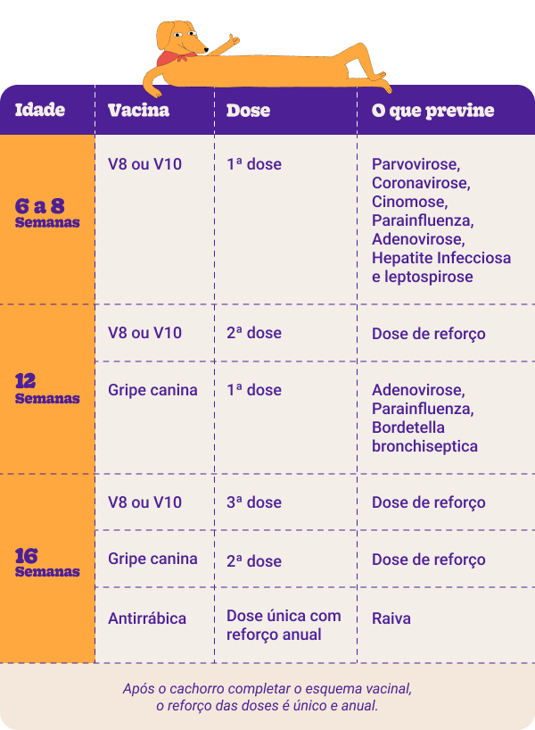 tabela de vacinas para cachorros.