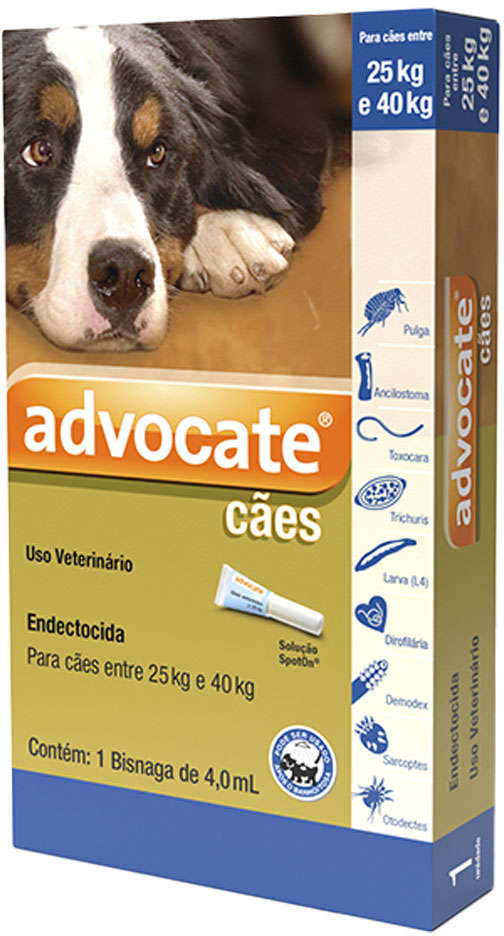 Advocate