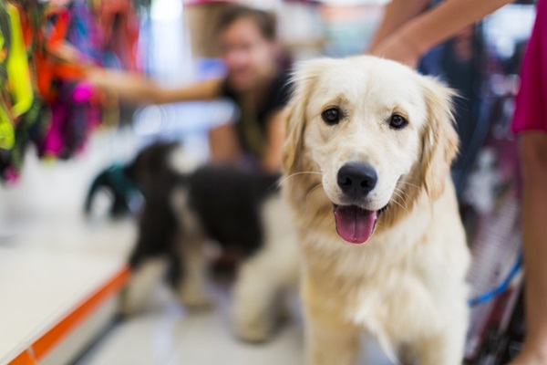 Cupom Petlove: confira opções ativas e como economizar