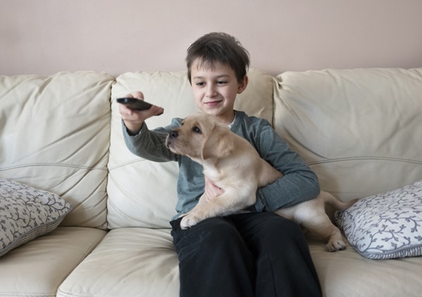 Menino vendo filme com cachorro.