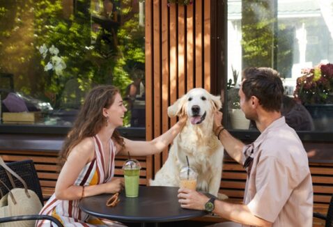 Dia dos Namorados: 5 lugares pet friendly para comemorar com seu pet