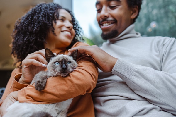 Casal com gato no Dia dos Namorados.