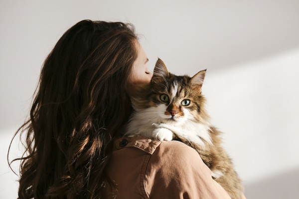Pessoa no Dia dos Namorados sozinho com gato.