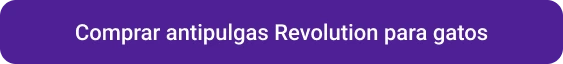 CTA Revolution gatos