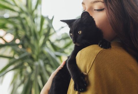 Família não se escolhe, se sente: Petlove promove evento de adoção com dinâmica sensorial