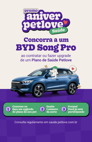 Nomes para cachorro: mais de 800 ideias criativas
