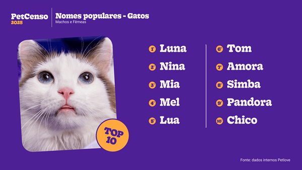 Top 10 nomes de gatos.