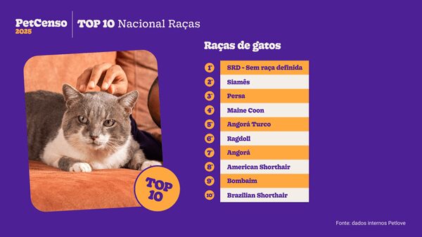 Top 10 raças de gato.